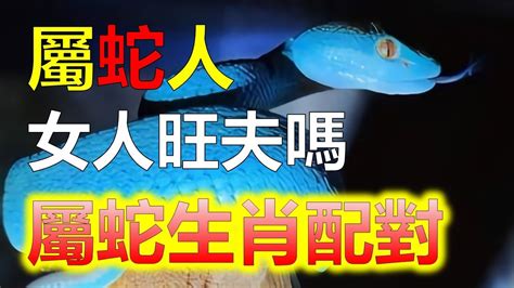 屬蛇男配對|屬蛇人的最佳配對，只要不離婚就註定一生能大富大貴！